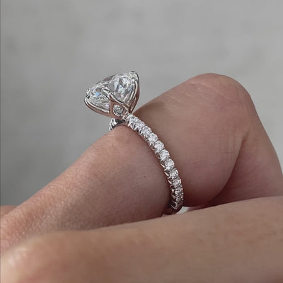 tulip-with-french-pave - 360° Video